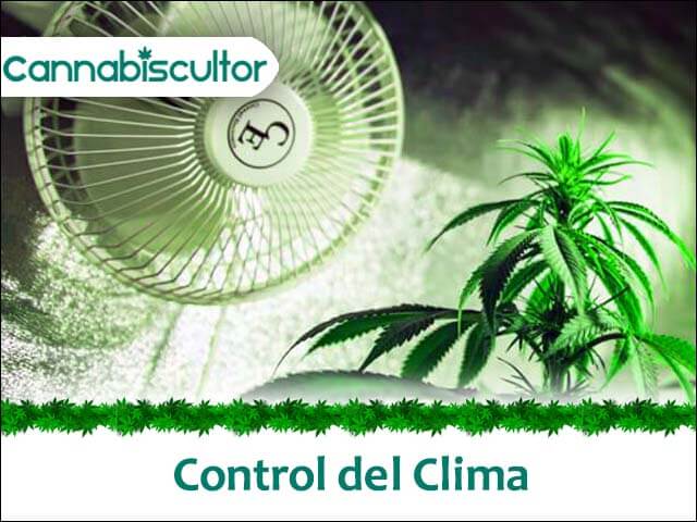 control clima cannabis