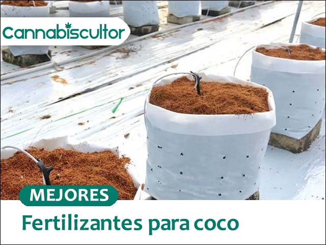 fertilizante coco